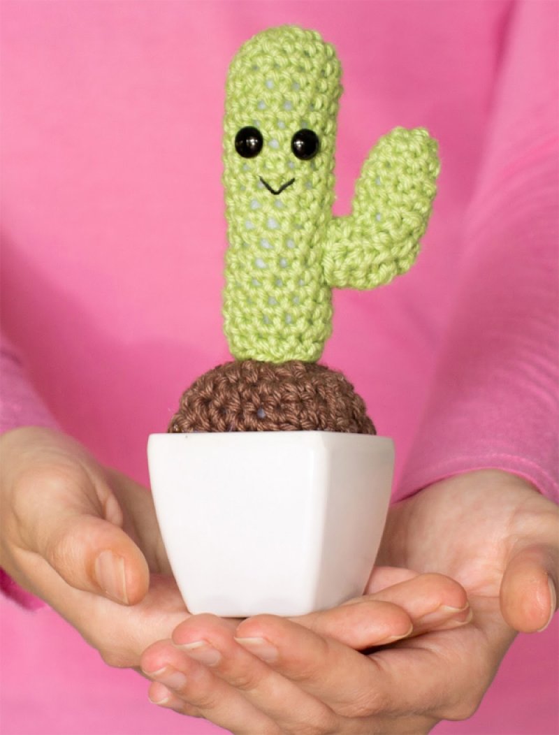Amigurumi Cactus, a perfect addition to any bedroom!