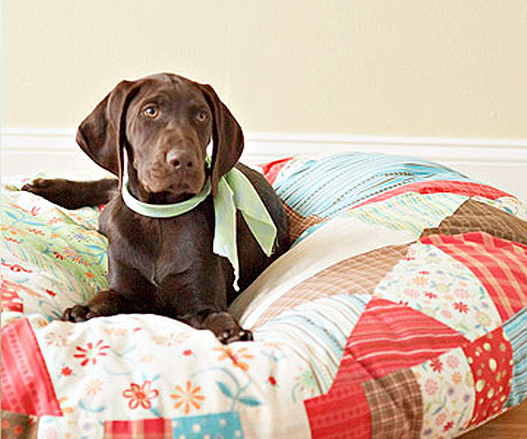 Cozy Quilted Dog Bed.