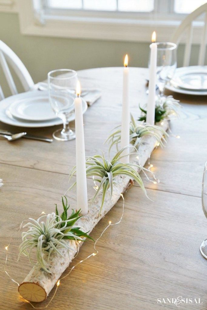 Create a Centerpiece Using Birch and Airplants.