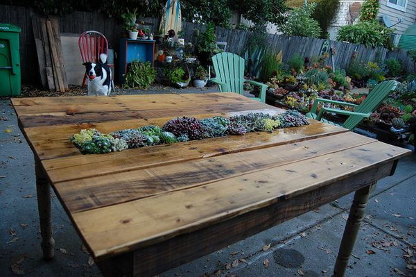 DIY Succulent Pallet Table.