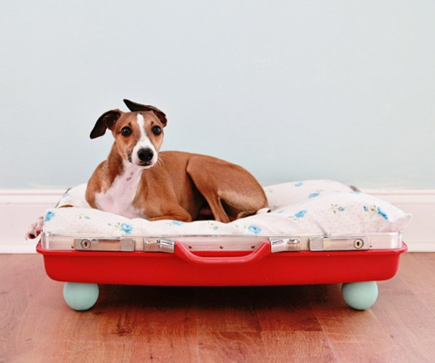 DIY Suitcase Dog Bed.