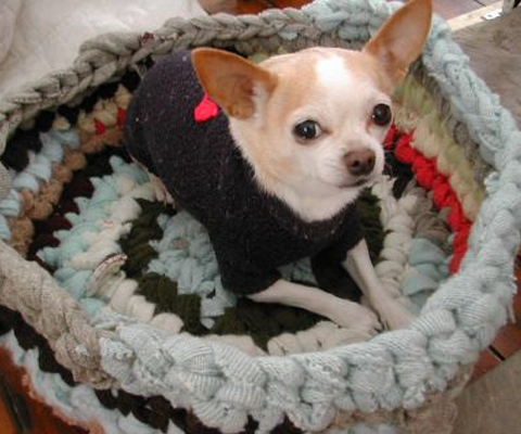 Dog Bed From Recycled Sweaters.