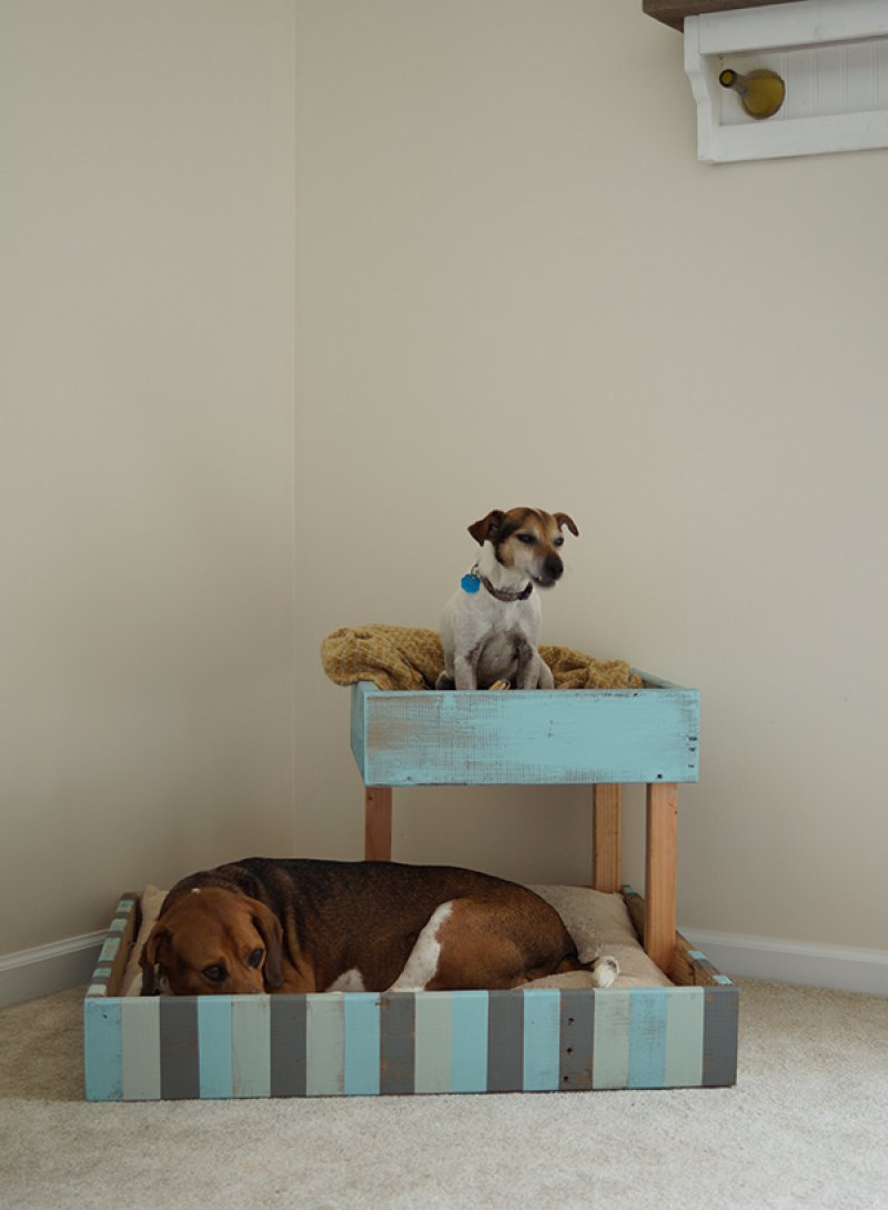 Double Dog Bed.