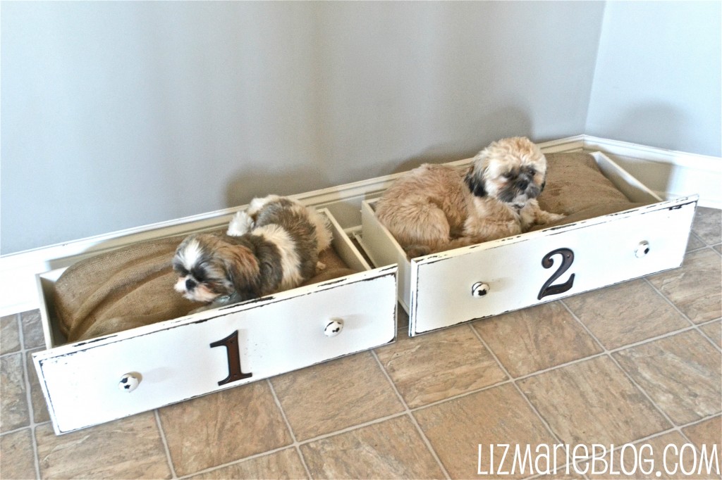 Drawer Dog Beds.