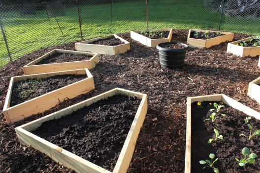 Medicine Wheel Garden.