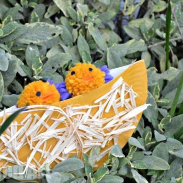 Paper Plate Nest – Crafts for Preschoolers.