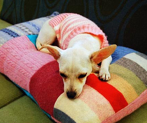 Patchwork Dog Bed.