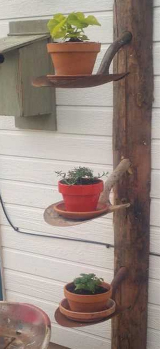 Plants Stand From Shovel Heads.