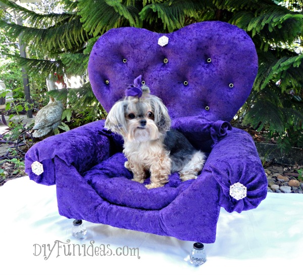 Princess Dog Bed.