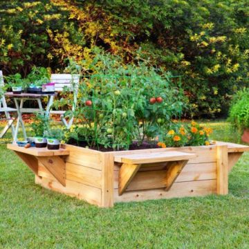 Raised Bed With Benches.