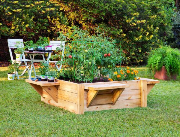 Raised Bed With Benches.
