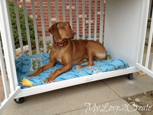 Repurposed Crib Dog Crate.