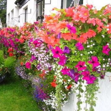 Window Boxes Out of Pallets.