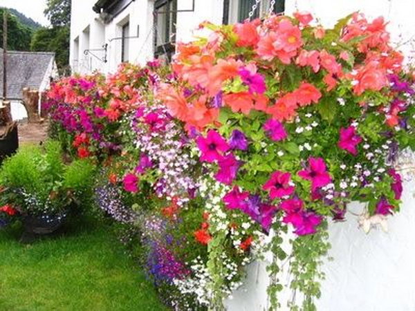 Window Boxes Out of Pallets.