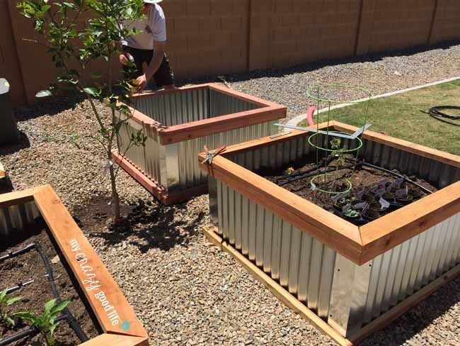 Wood & Steel Raised Garden Beds.