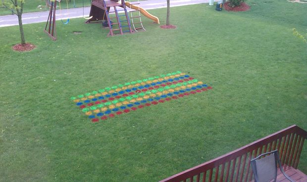 Yard Twister.