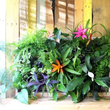 Creating a living wall planter.