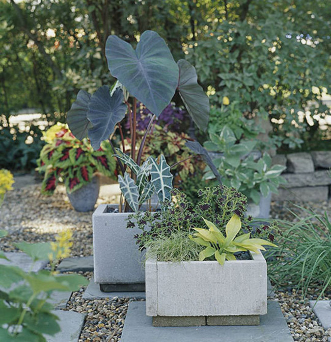 DIY Modern Concrete Planter.