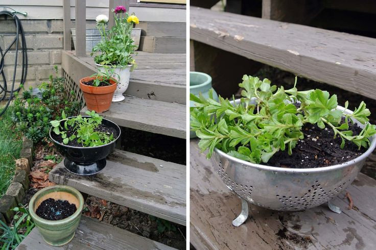 Diy Easy Thrifted Planters.