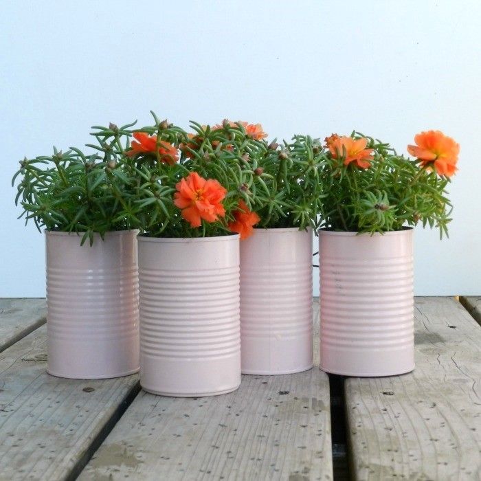 Vertical Tin Can Planters Tutorial.