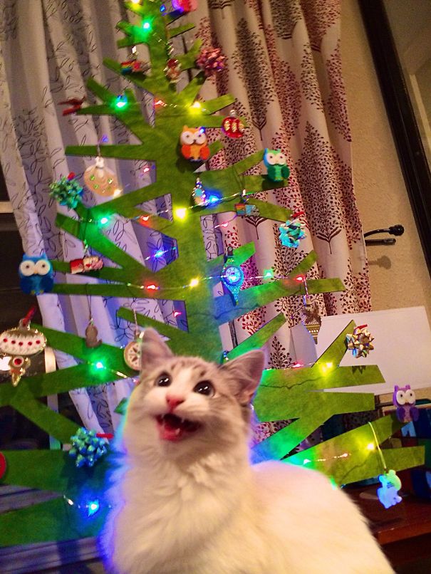 Cat-Safe 2d Christmas Tree.