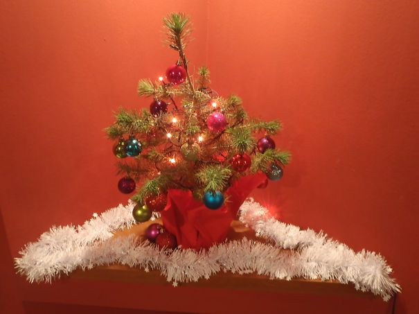 Environmentally Friendly Christmas Tree.
