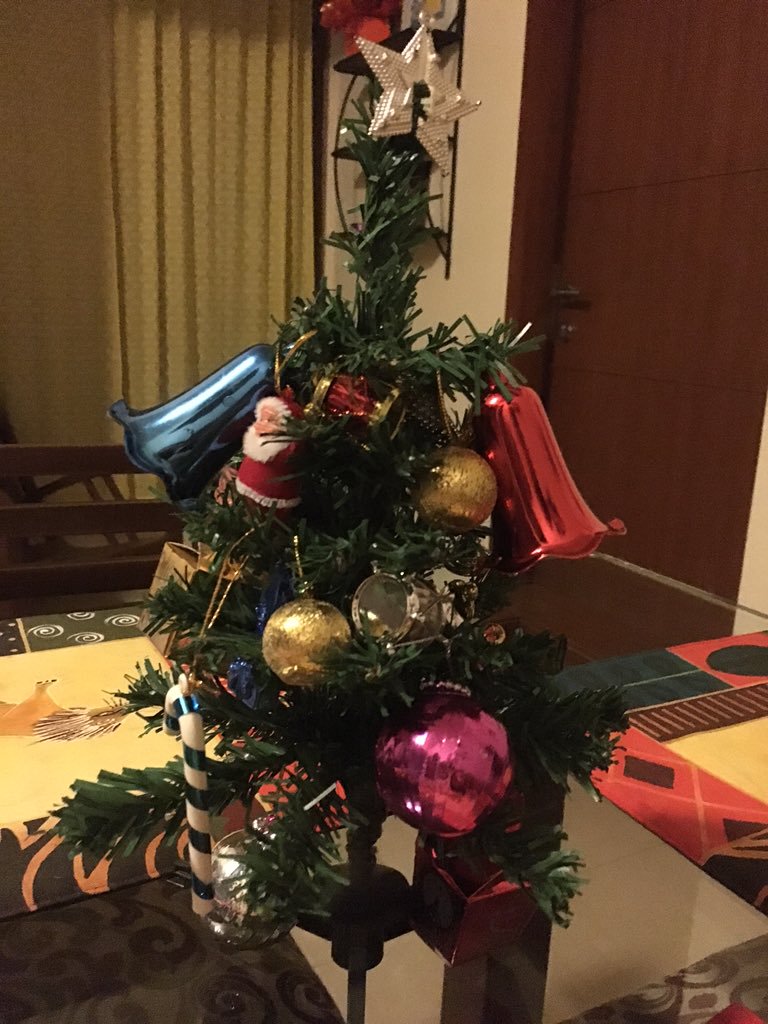 Mini Christmas tree on kitchen table.