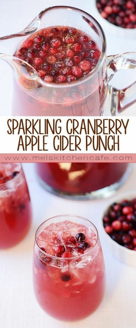 Sparkling Cranberry Apple Cider Punch