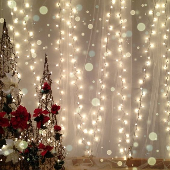 White lights and tulle for a soft Christmas backdrop.