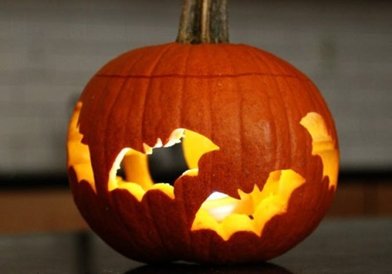 Bat Pumpkin from Kids Activities