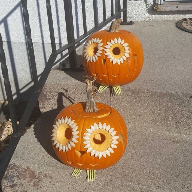 Beautiful pair of pumpkins.