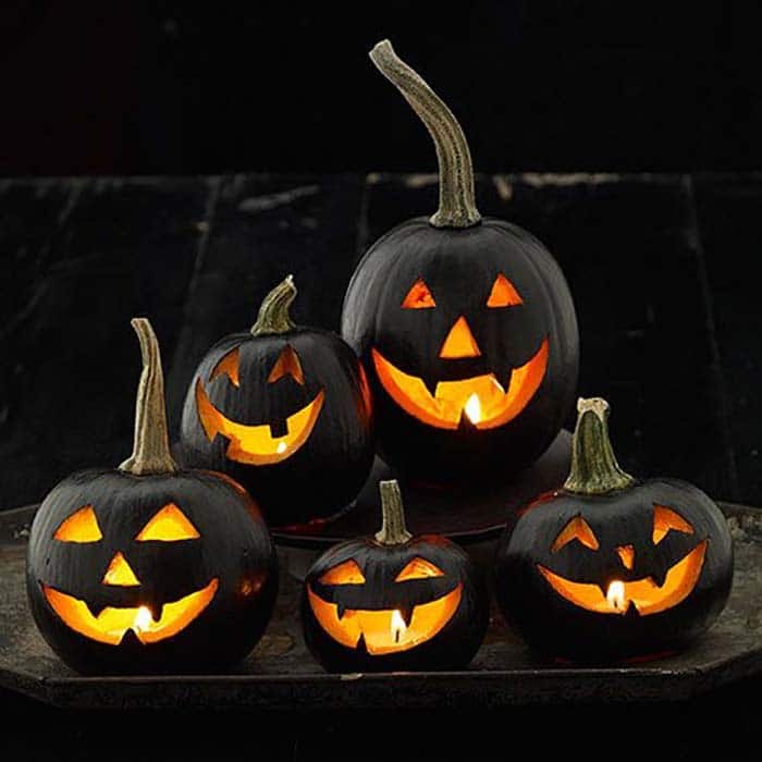 Black Jack-O-Lantern Pumpkins.