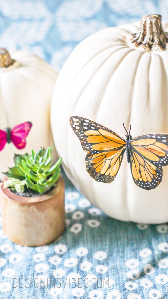 Boho Pumpkins by Designing Vibes