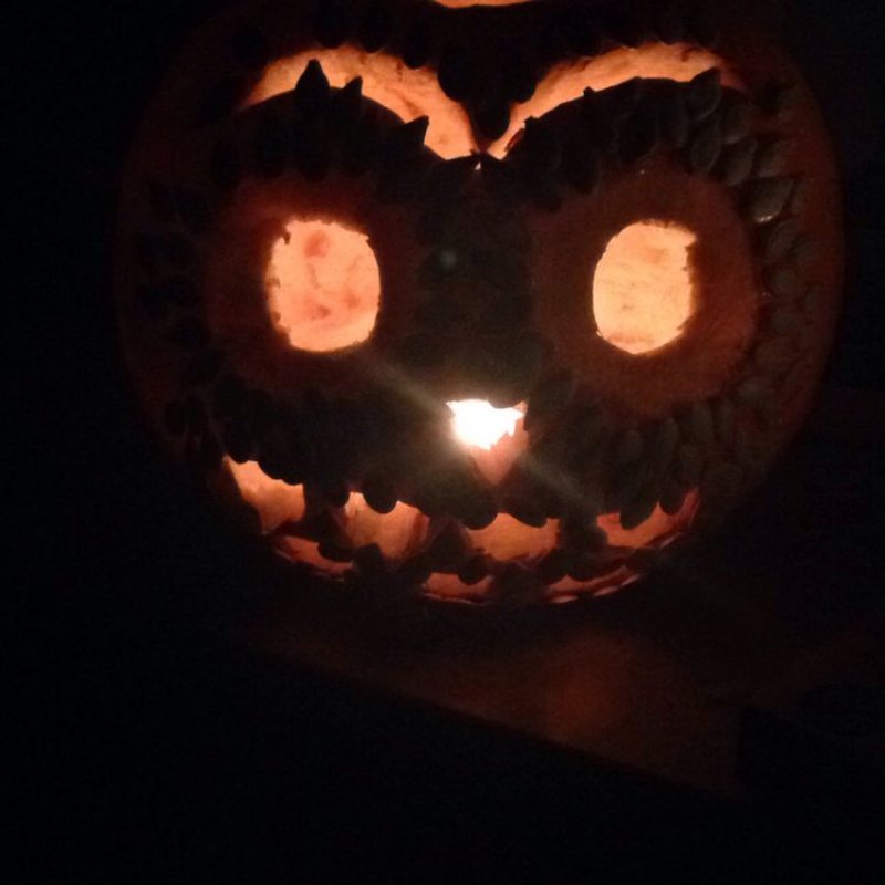 Easy to do owl pumpkin.