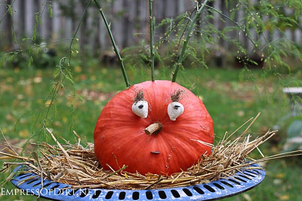 Fun easy pumpkin decorating by Empress of Dirt