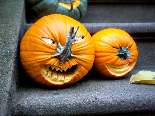 Funny Face Pumpkins from Smith & Ratliff