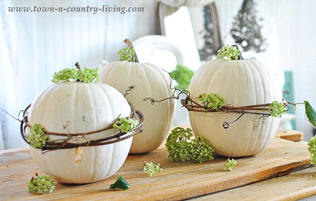 Grapevine wreath decorated pumpkins by Town n Country Living