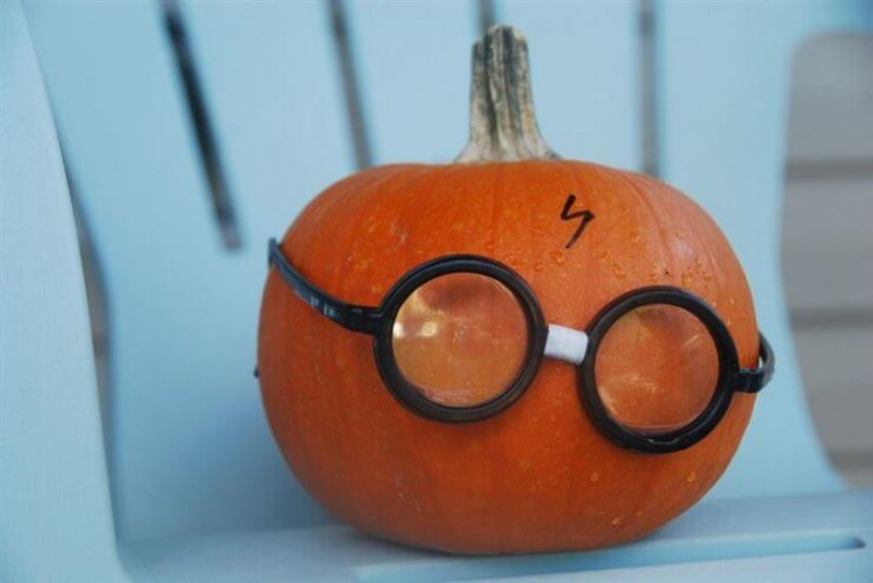 Harry Potter Pumpkin from House of Paint via DIY Worthy
