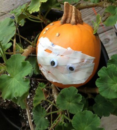 Mummy Pumpkin – Laura Kelly’s Inklings