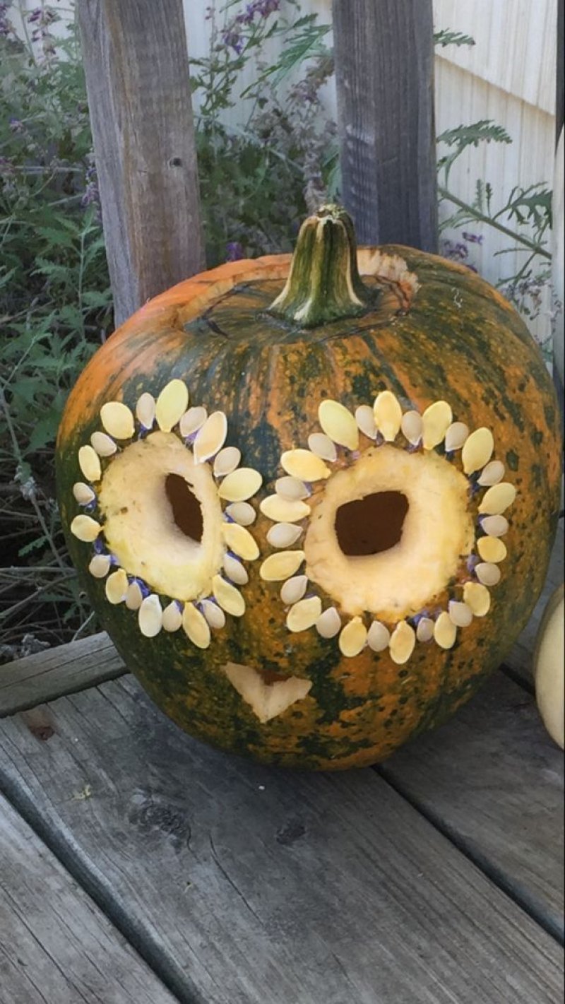 Owl pumpkin attempt.