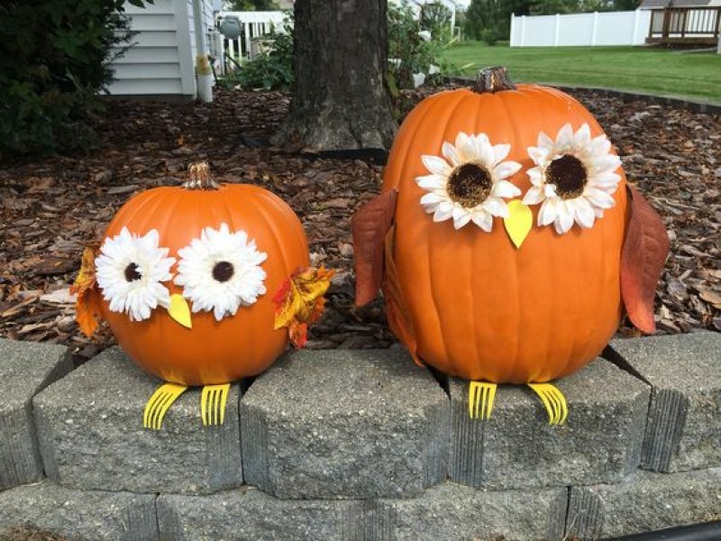 Owl pumpkins with flower eyes and forks for feet.