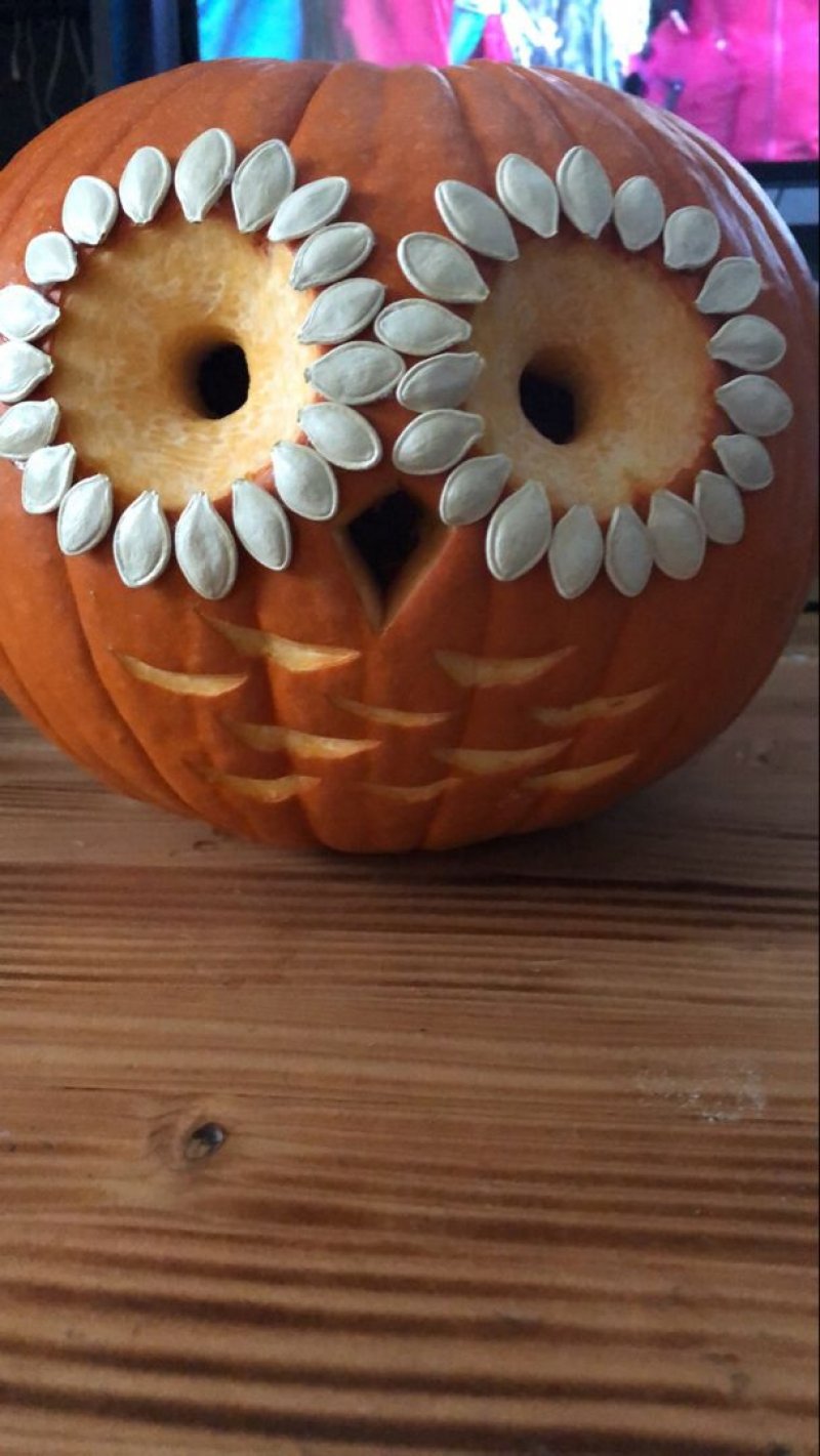 Pumpkin owl Shaila.