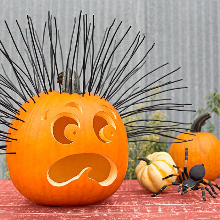 Scaredy Pumpkin and Spider from Lowe’s