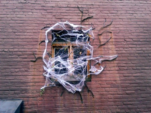 Spider Web Window.