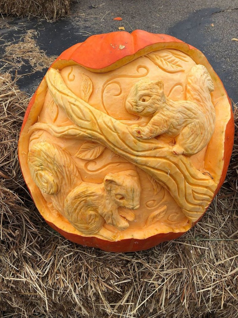 Squirrel Pumpkin.