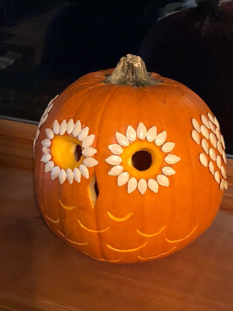 Very cute pumpkin.