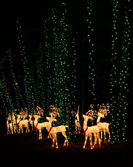 A reindeer forest at the Coastal Georgia Botanical Gardens in Savannah!