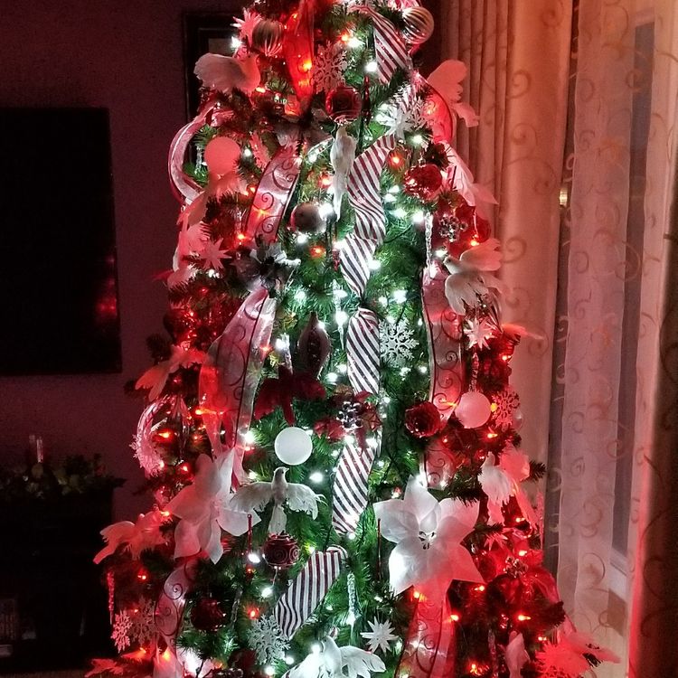 Candy Cane Christmas Tree.