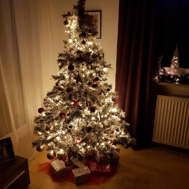 Celebrate the holidays with a BoHo Christmas Tree!
