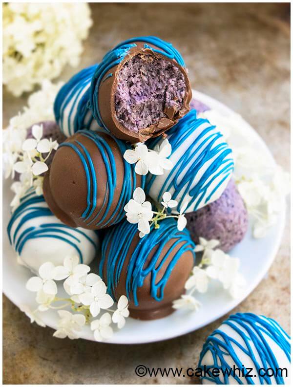 Chocolate Blueberry Truffles